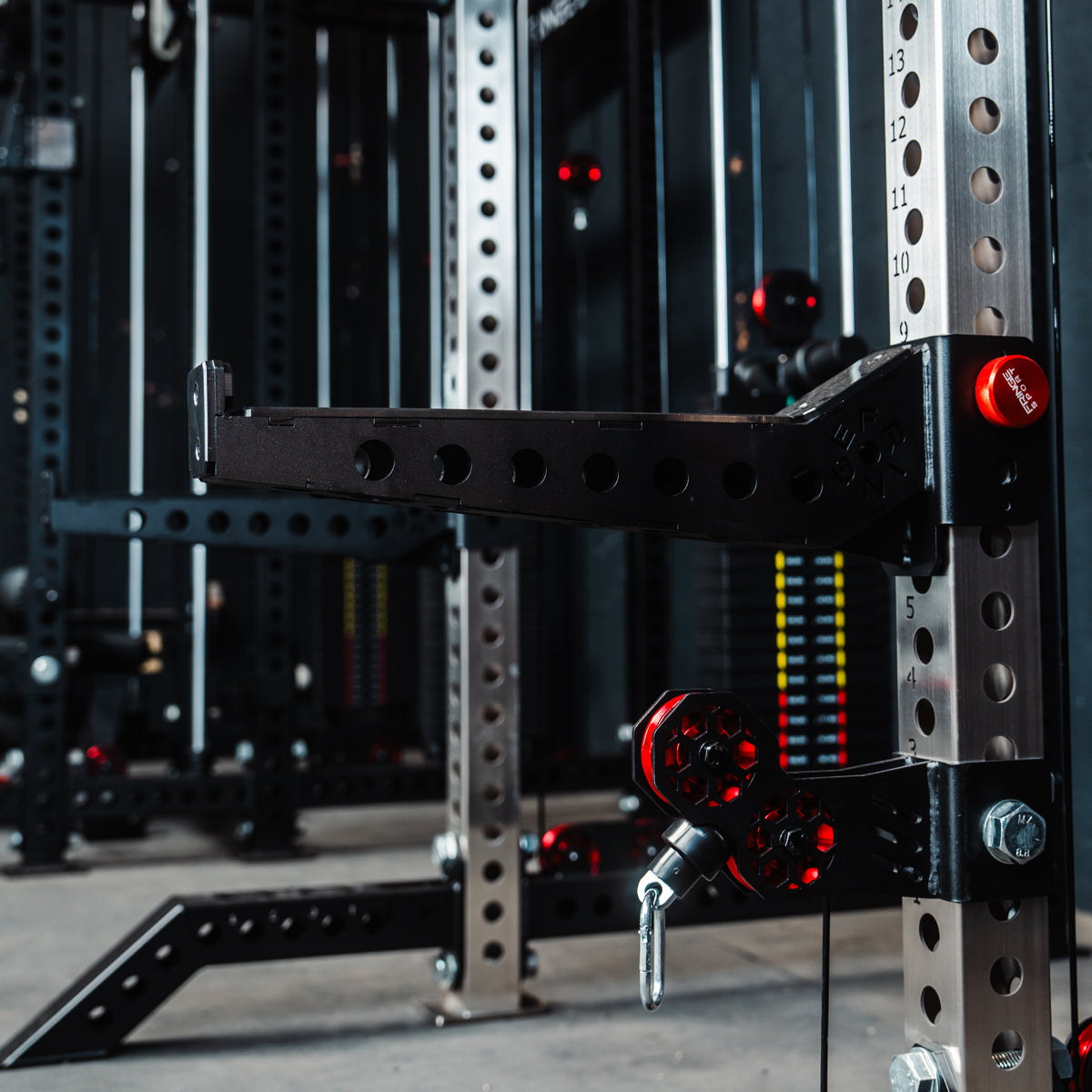 The Dane 3.0 - All-in-One Functional Trainer