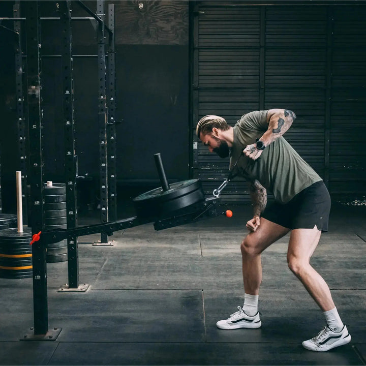 Mammoth Belt Squat (With Free Belt) (7279027355695) (7772637167663) (8048381034543) (8069861376047)