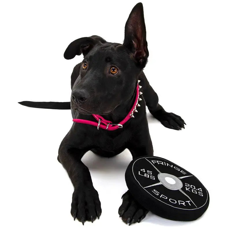 Weight Plate Dog Chew Toy (1007944892463)