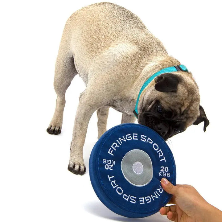 Weight Plate Dog Chew Toy (1007944892463)