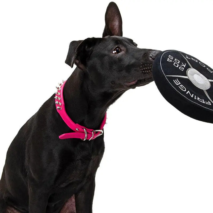 Weight Plate Dog Chew Toy (1007944892463)