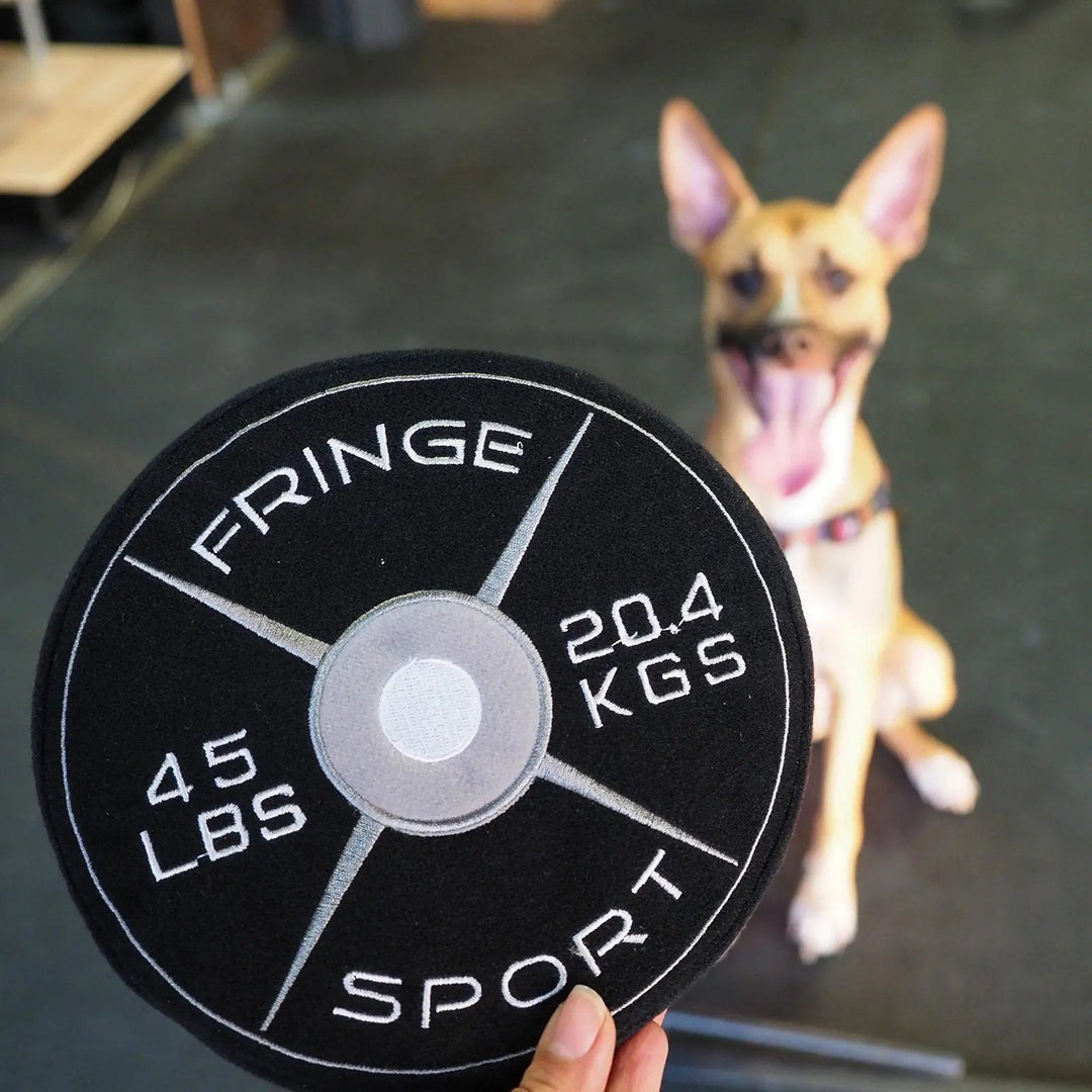 Weight Plate Dog Chew Toy (1007944892463)
