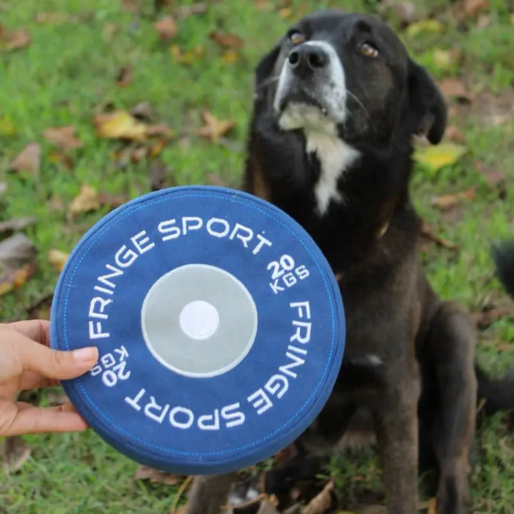 Weight Plate Dog Chew Toy (1007944892463)