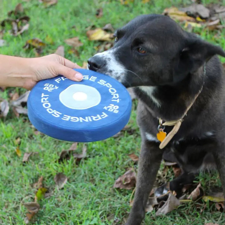 Weight Plate Dog Chew Toy (1007944892463)