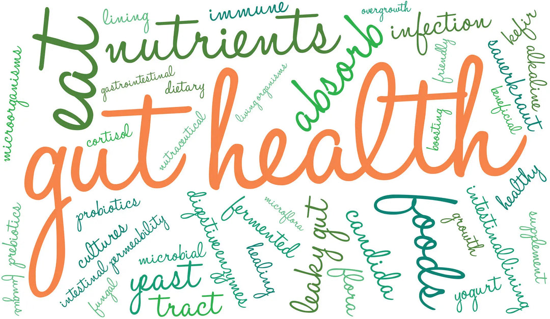 5-Effective-Post-Workout-Supplements-for-Digestive-Health Fringe Sport