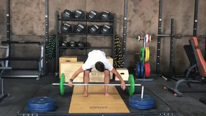 About-dem-barbells... Fringe Sport