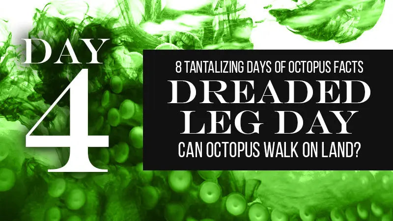 DAY-4-Fear-The-Walking-Octopus Fringe Sport