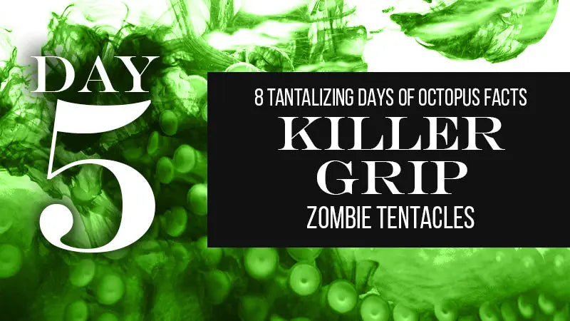 DAY-5-Octopuses-Have-Zombie-Tentacles Fringe Sport