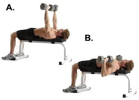 Learn-the-Dumbbell-Bench-Press Fringe Sport