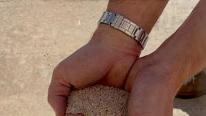 Best Sand To Use to Fill a Sandbag 🏝️ Beach Vs Play Sand