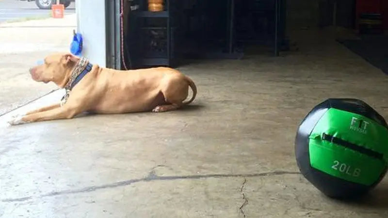 Want-to-be-a-FringeSport-product-reviewer-updated Fringe Sport