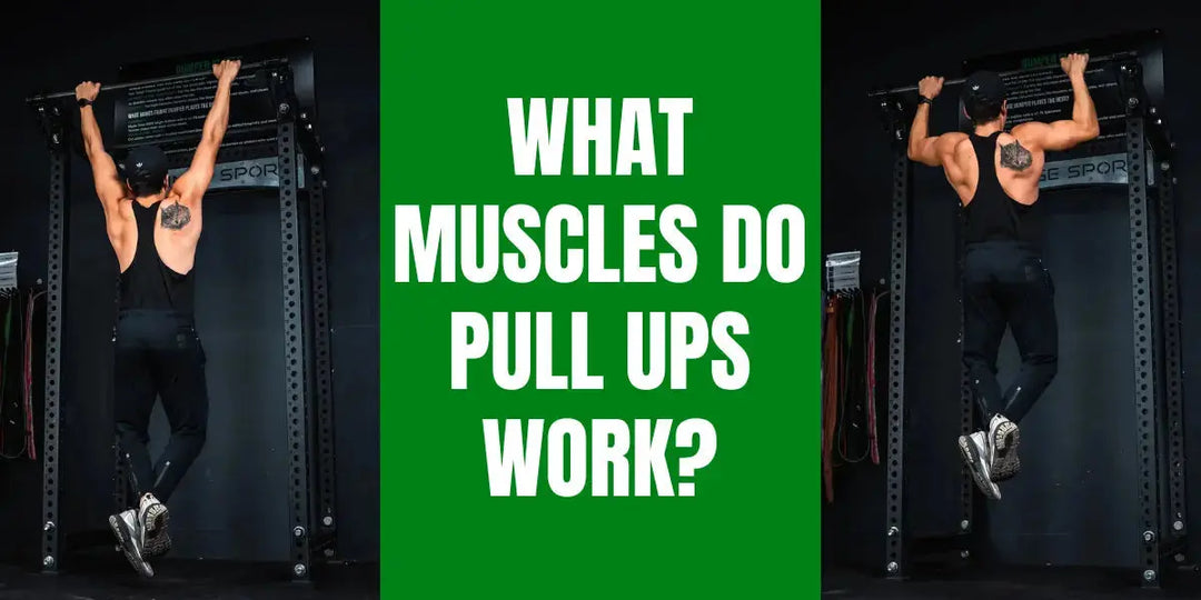 What Muscles Do Pull-Ups Work? How to do a Pull Up & Proper Form Fringe Sport