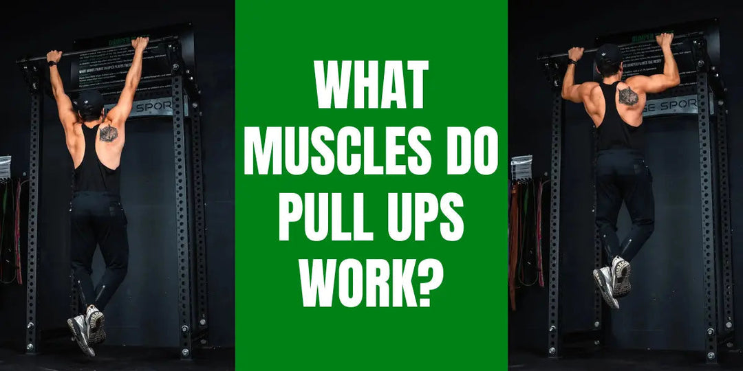 What Muscles Do Pull-Ups Work? How to do a Pull Up & Proper Form Fringe Sport