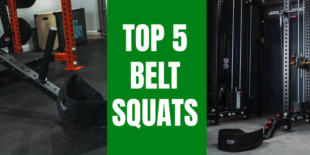 BEST BELT SQUATS TO BUY