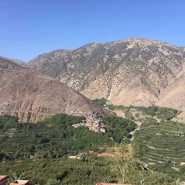 Why-we-do-what-we-do-when-we-do-what-we-do Fringe Sport