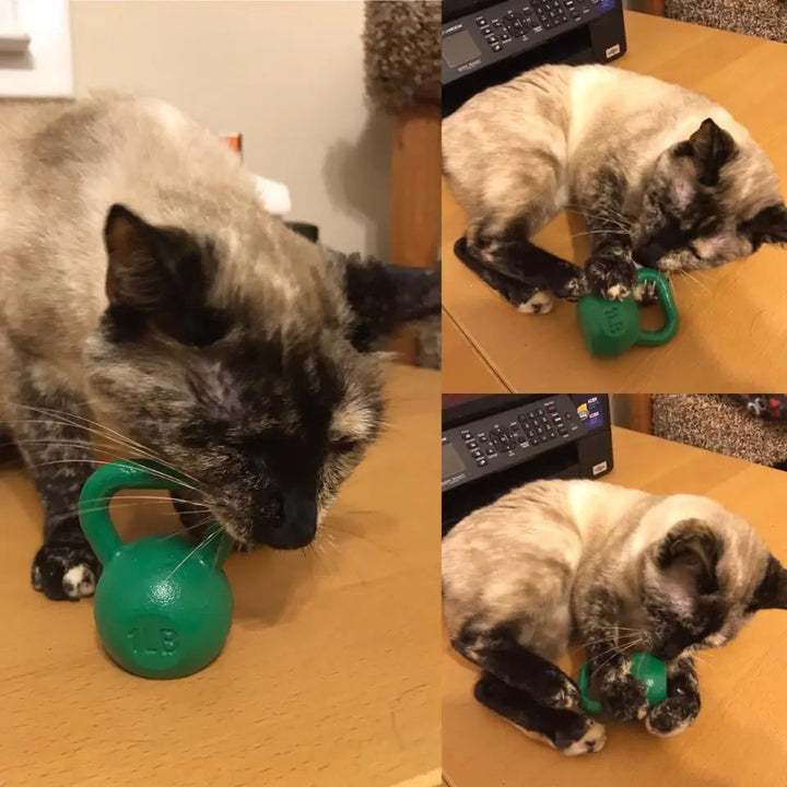 1lb Mini Kettlebell Paperweight Fringe Sport