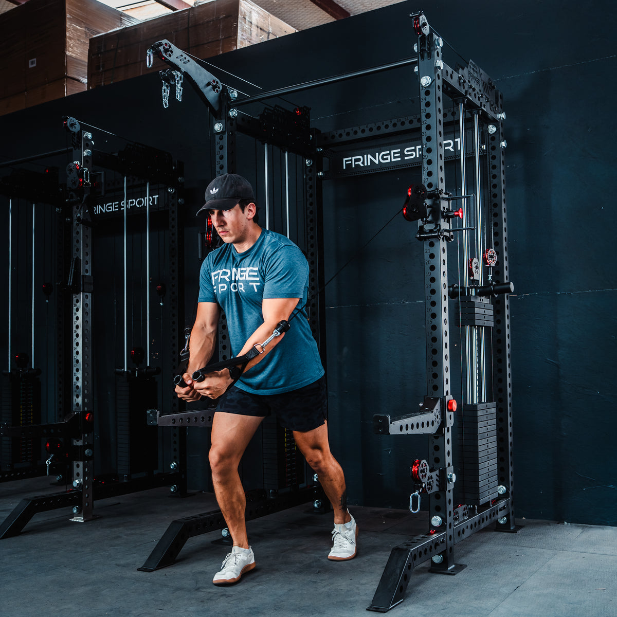 The Dane 3.0 - All-in-One Functional Trainer