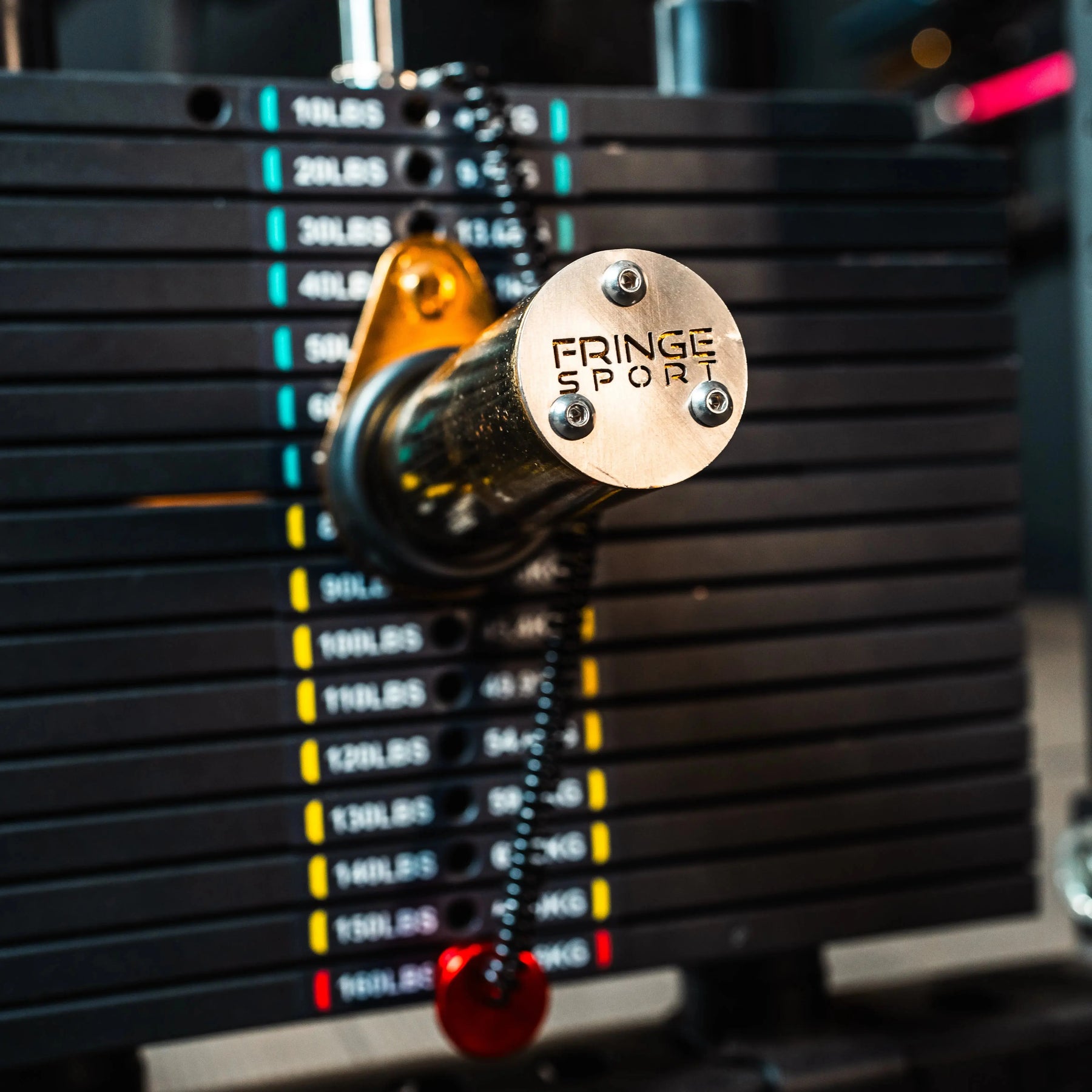 El Toro Dual Mounted Weight Stack Horn Attachment | Fringe Sport