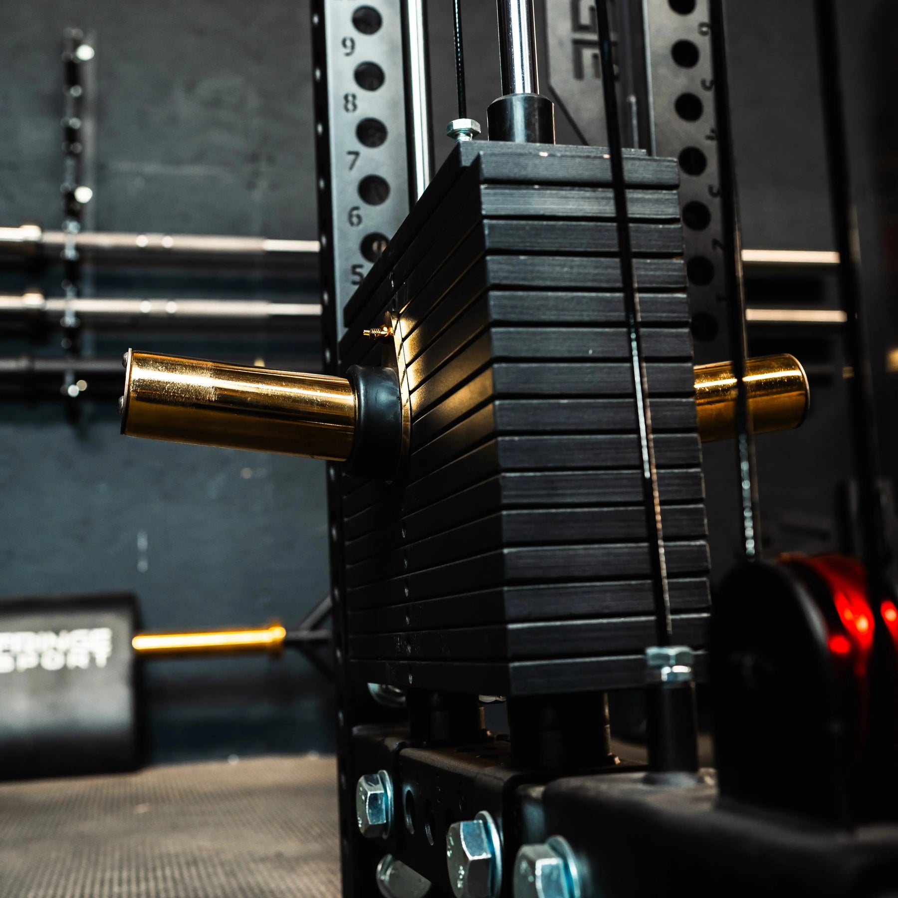El Toro Dual Mounted Weight Stack Horn Attachment | Fringe Sport