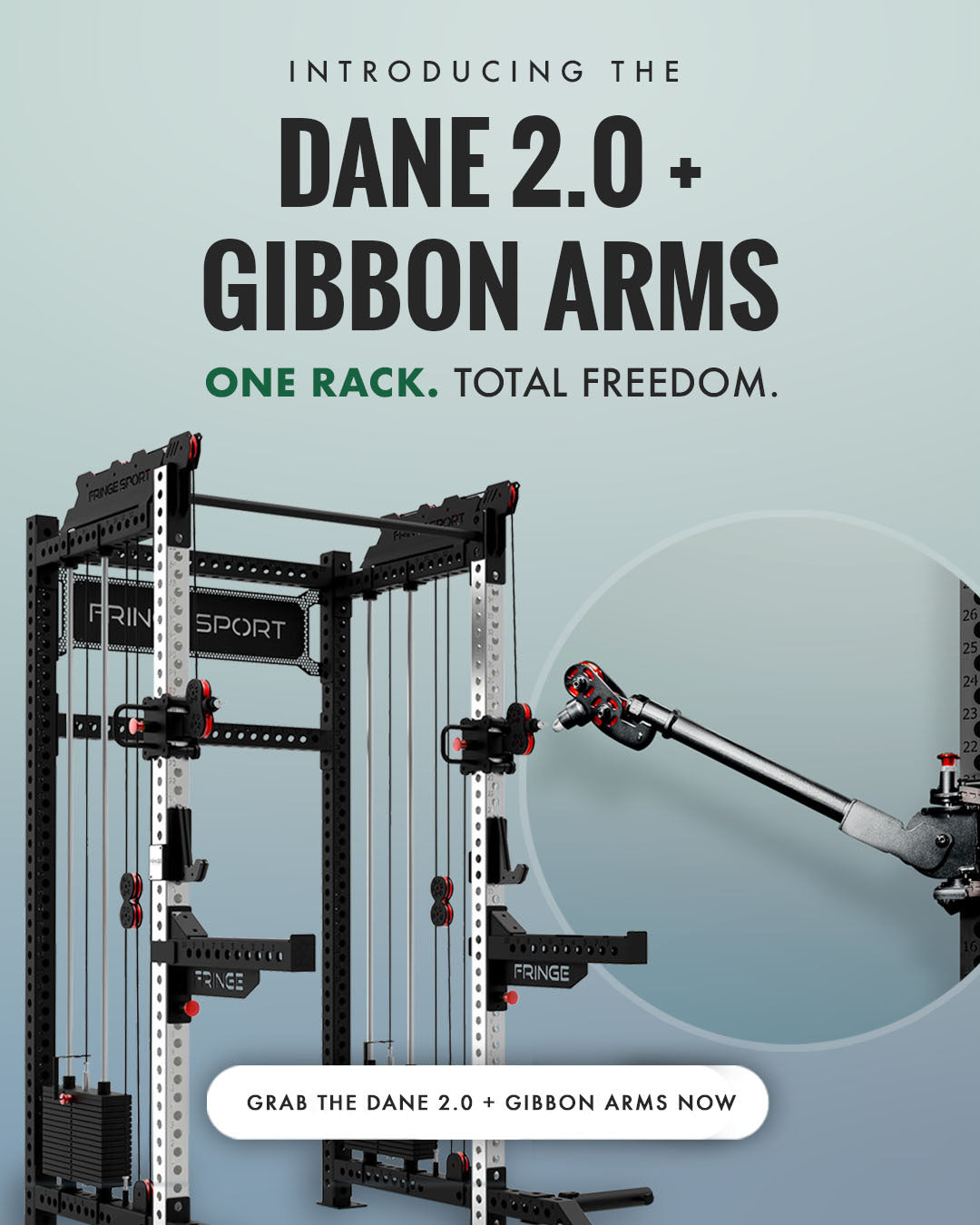 Fringe Sport: Improving Lives Through Strength