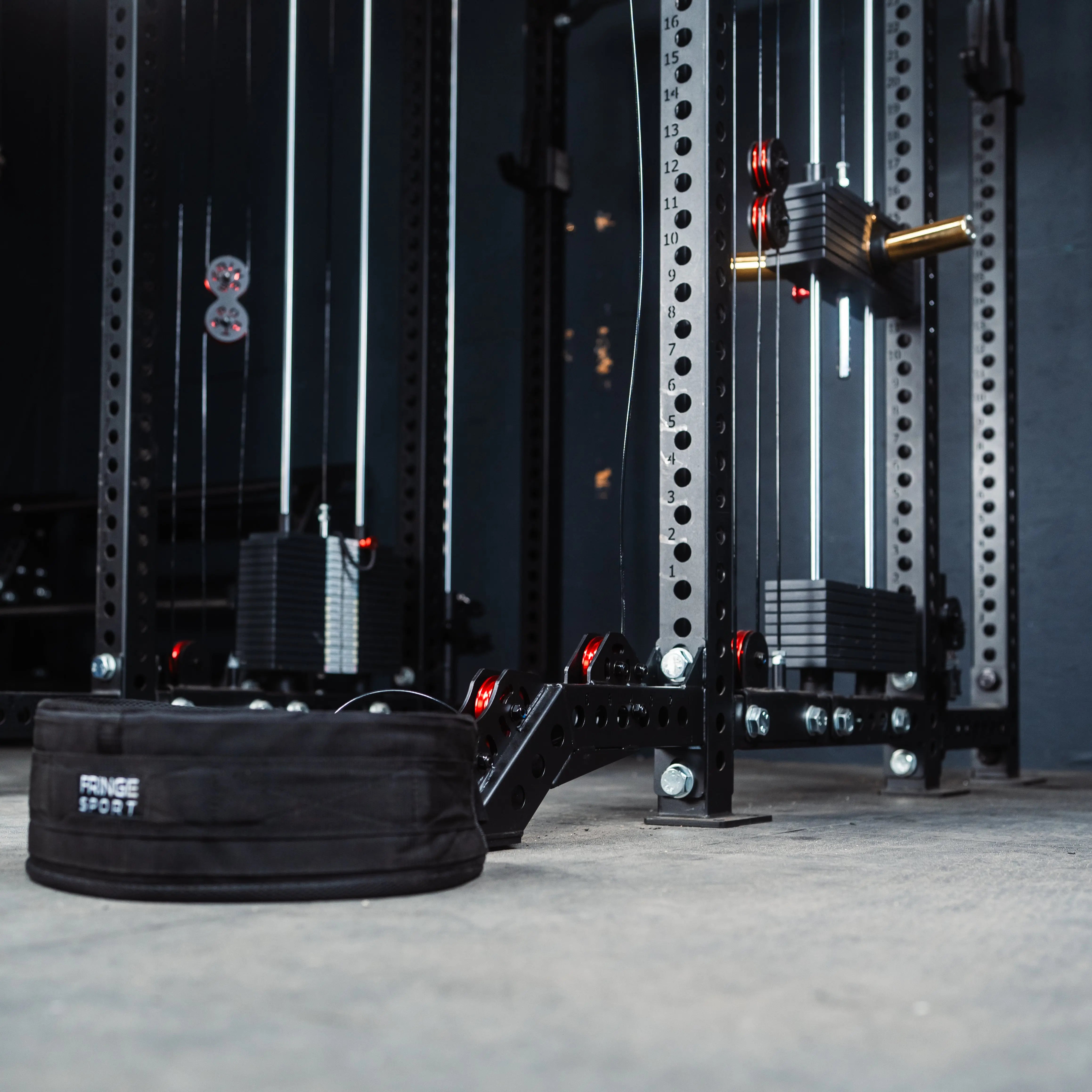 Kodiak Cable Belt Squat - Fringe Sport