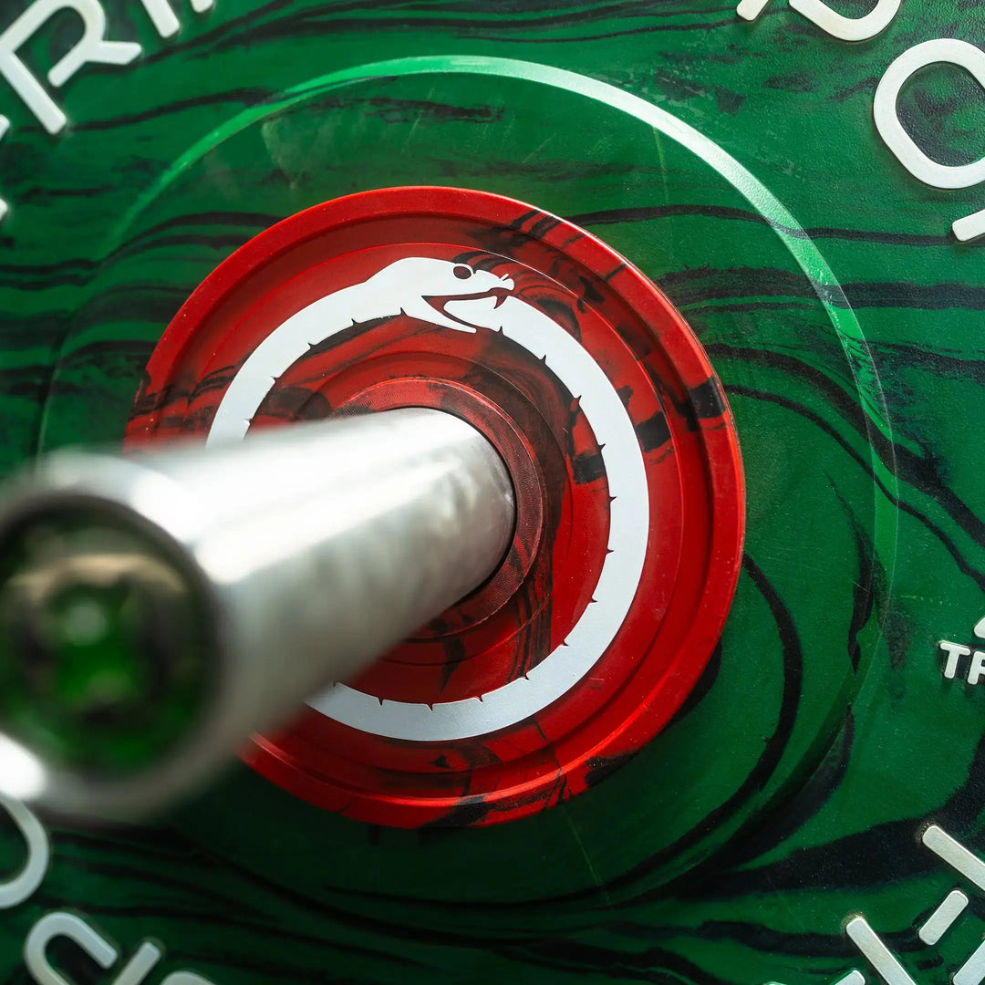 Ouroboros Fractional Plate (1008984817711) (8074450370607)