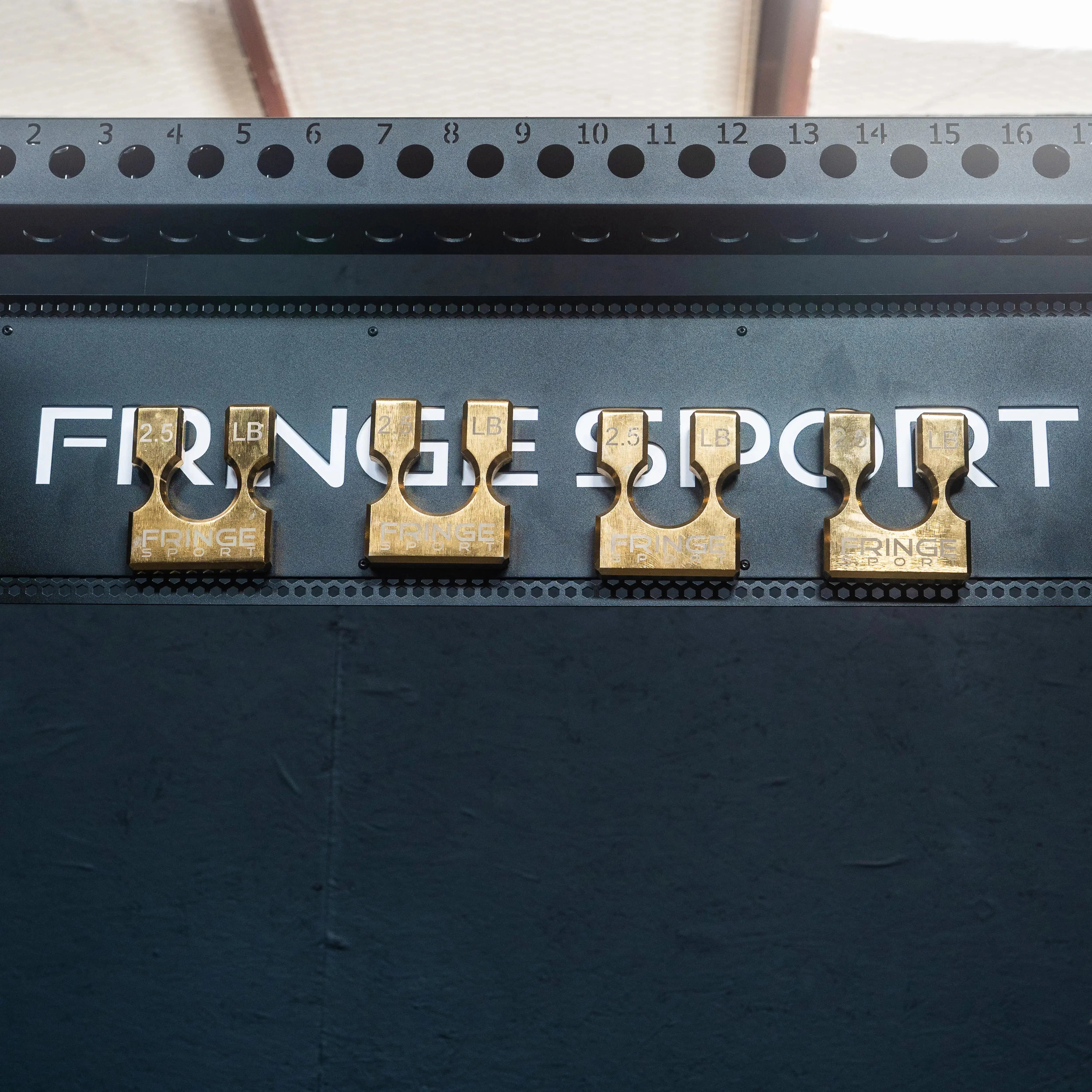 The Midas Touch - Fractional Weight Adder | Fringe Sport