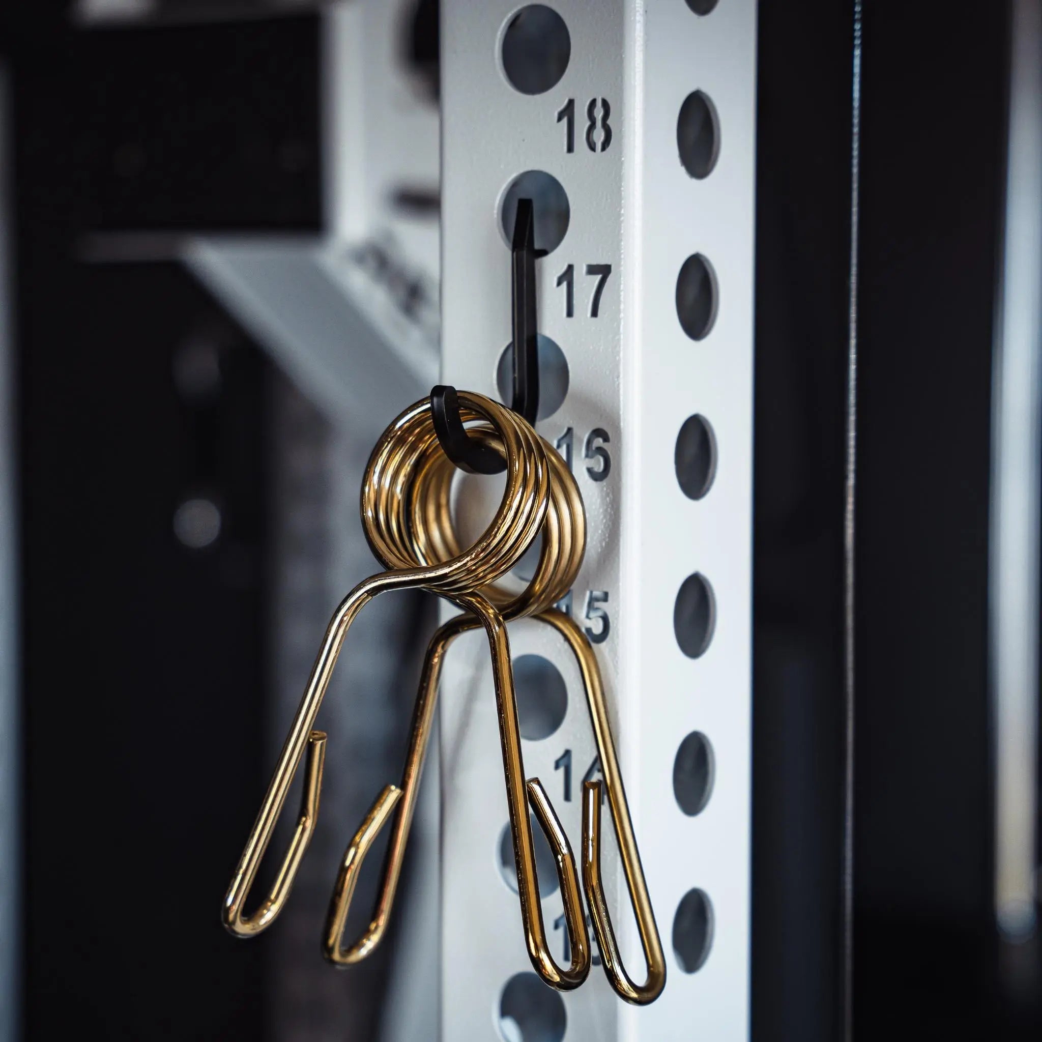 Mini Storage Hooks | Rack Accessory | Fringe Sport - Free Shipping