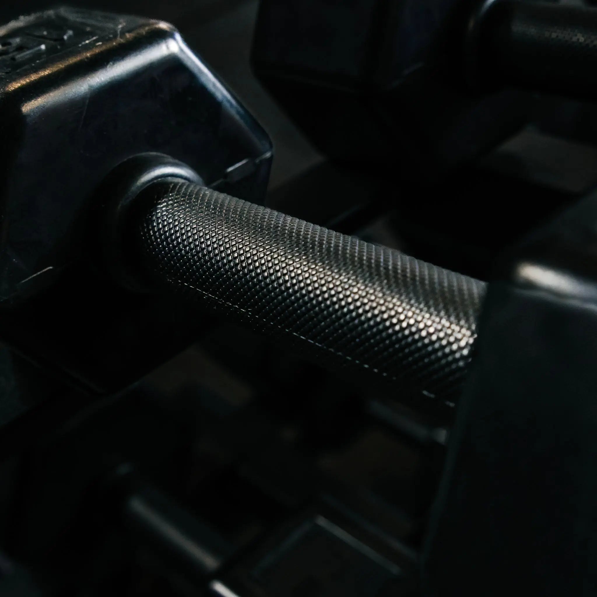 Silverback Dumbbells Complete Set (5lb-50lb) - Fringe Sport