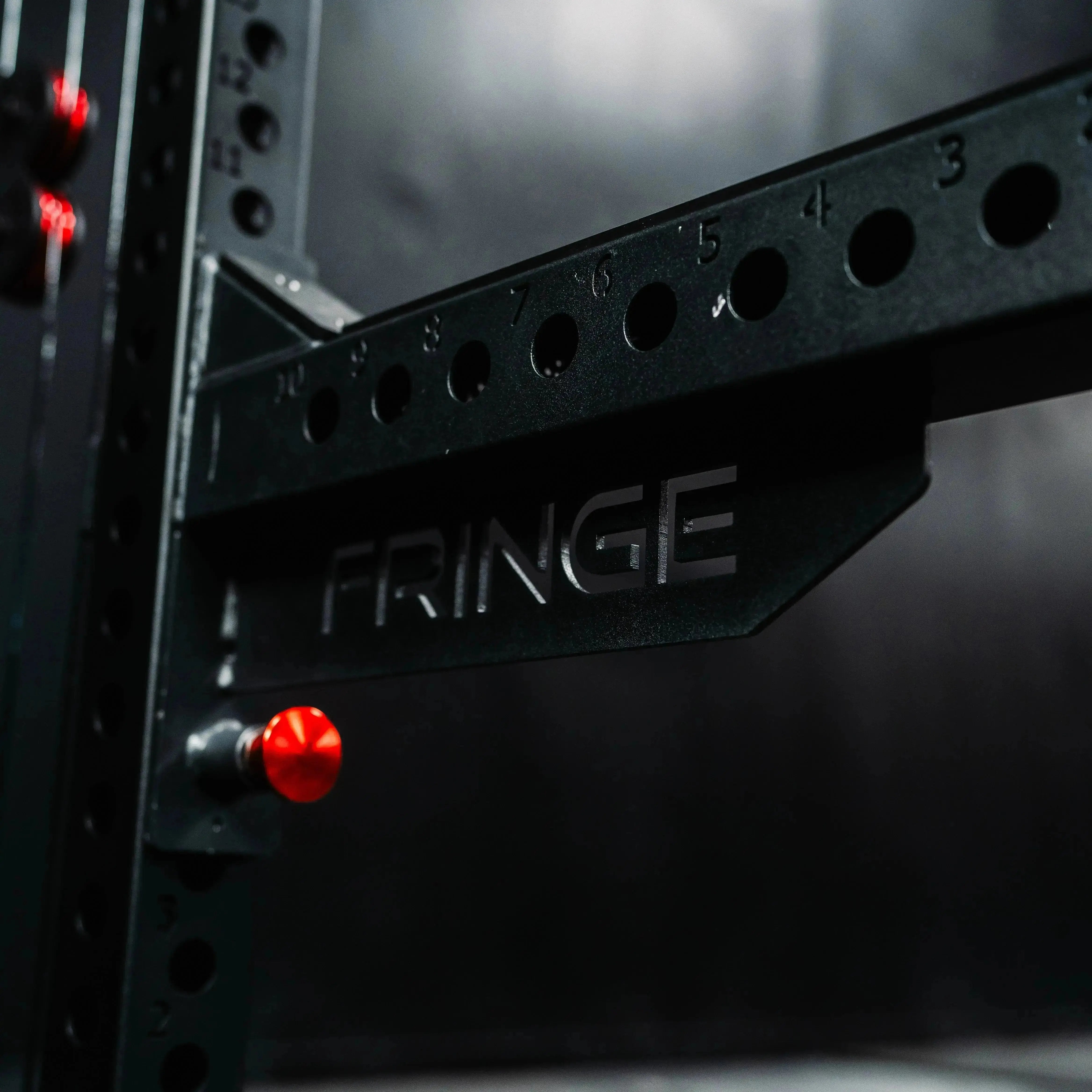 The Dane 2.0 | Half Rack Functional Trainer | Fringe Sport