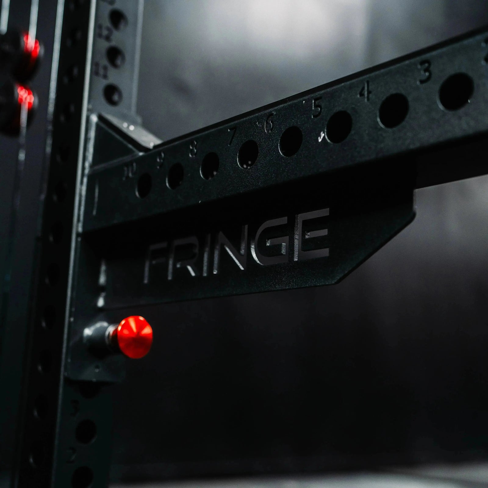 The Dane 2.0, Half Rack Functional Trainer (7877321261103)