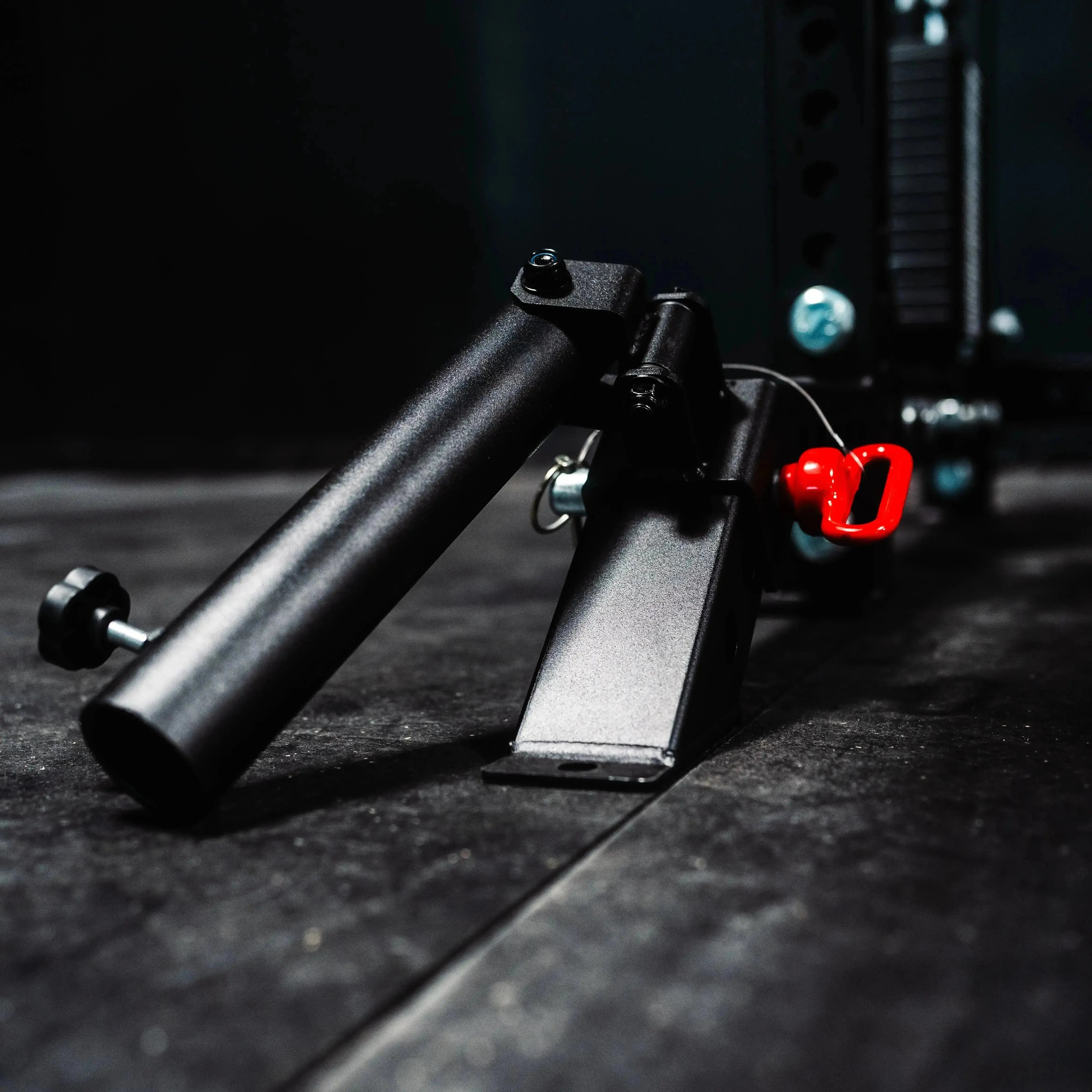 The Dane 2.0 | Half Rack Functional Trainer | Fringe Sport