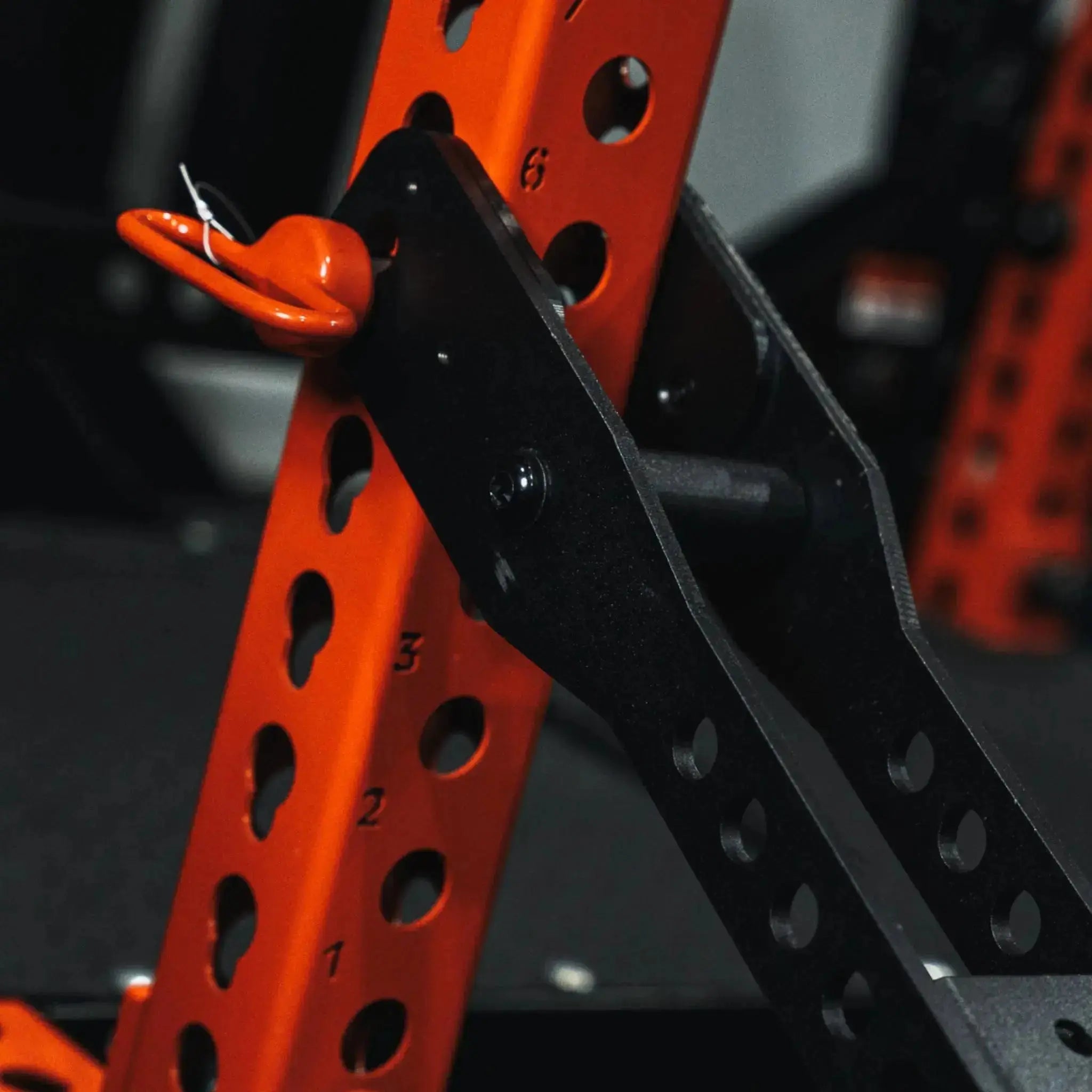 Mammoth Belt Squat (With Free Belt) - Fringe Sport
