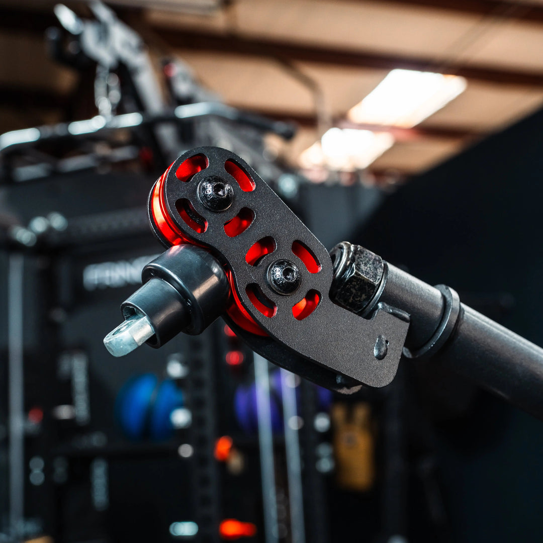 The Gibbon Arms Fringe Sport