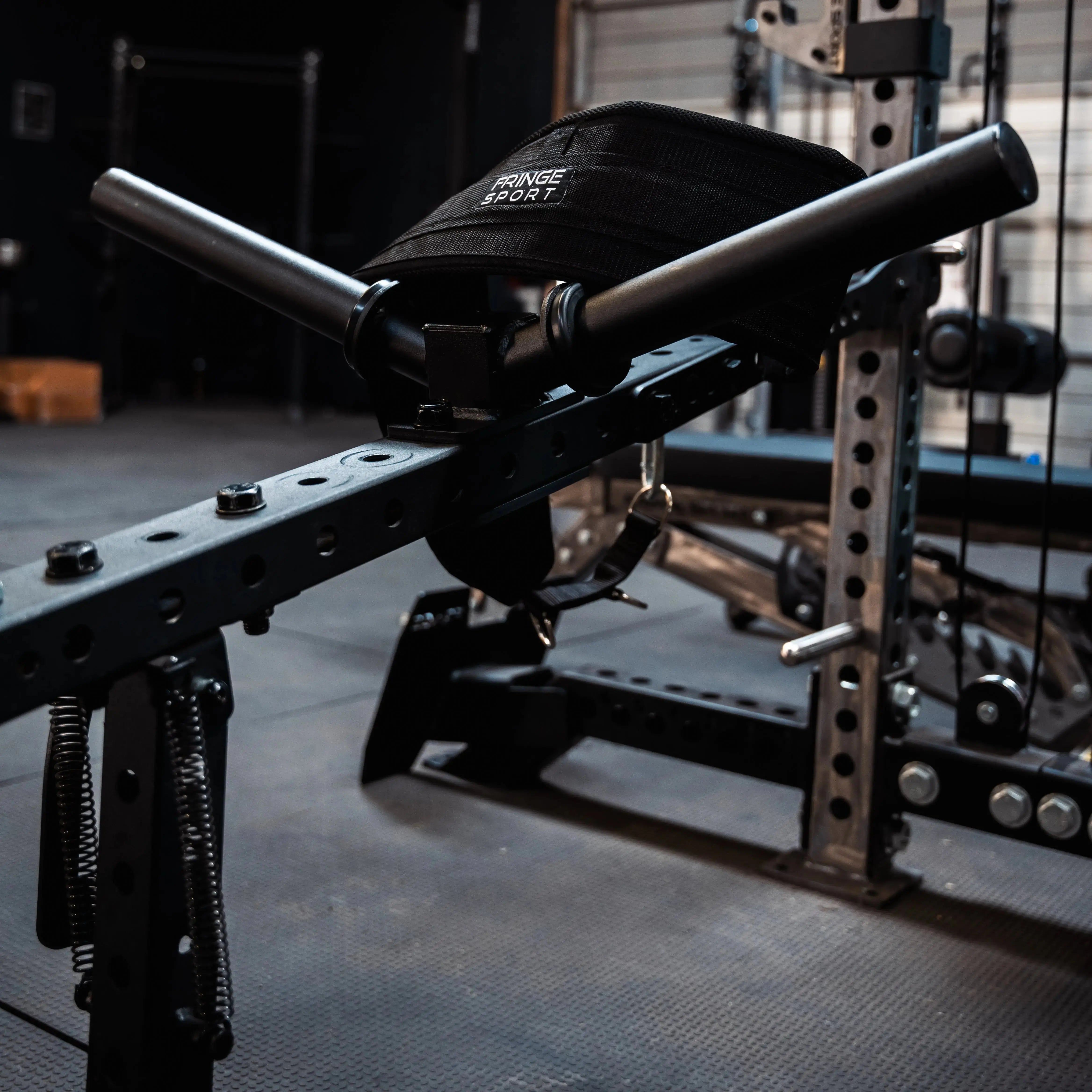 Dual Mounted Weight Horns | Fringe Sport