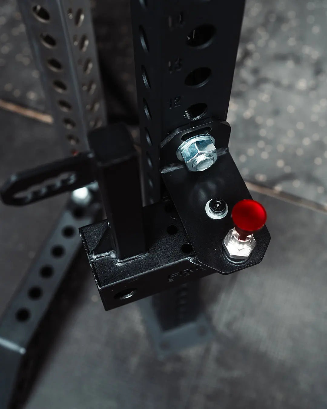 The Swan Neck (8037290868783)