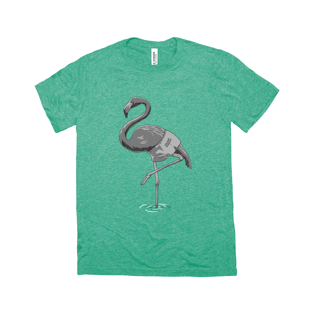 Triblend Flamingo Leg Day Shirt (4710195068975)