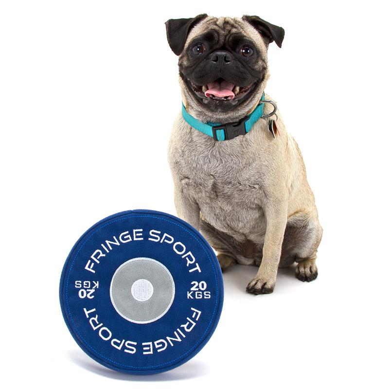 Weight Plate Dog Chew Toy (1007944892463)