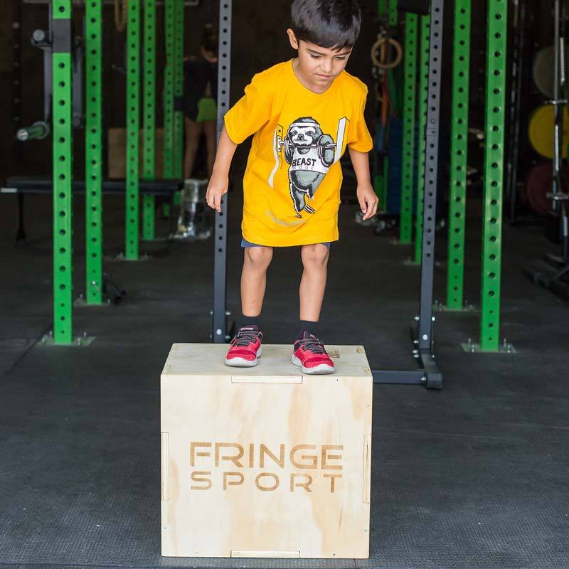 Multi-Sided Plyometric Boxes Strength and Conditioning Equipment – Fringe  Sport